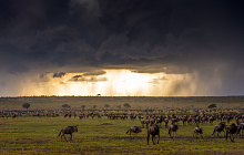 Masai Mara Discovery