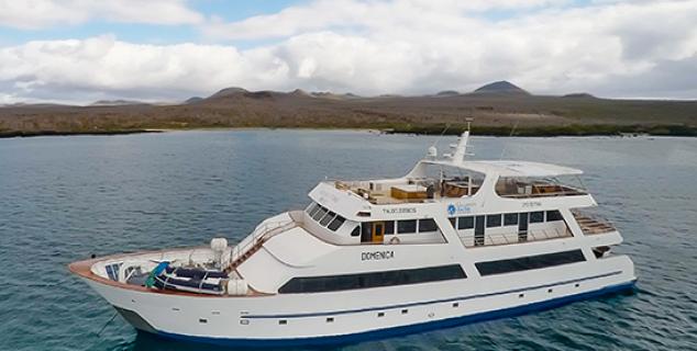 Galapagos Sea Star Journey