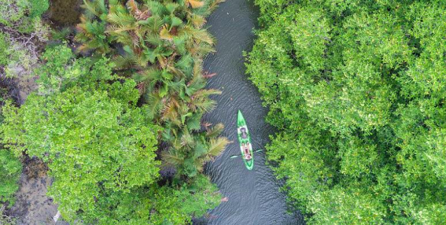 Kayaking on the Tatai River