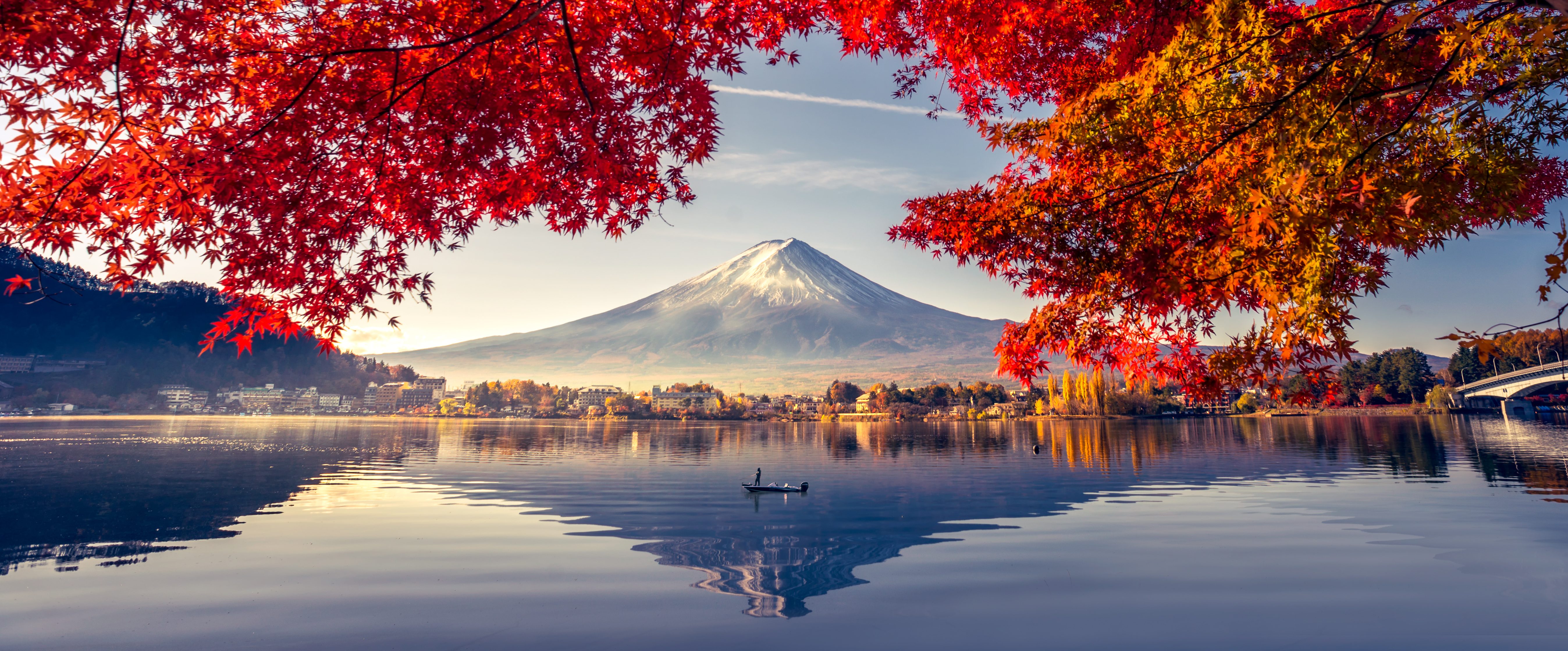 Spring or Autumn:        How to Choose the Right Season