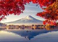 Spring or Autumn:        How to Choose the Right Season