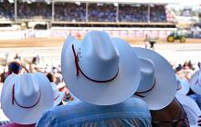 Calgary Stampede and the Rockies