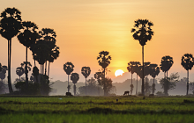 Cambodian Odyssey