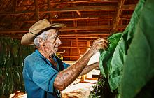 Cuba Uncovered