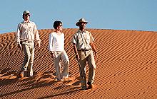 Honeymoon Adventure