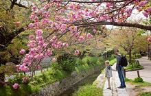 Japan Family Adventure