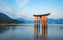 Japan Journey
