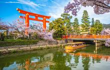 Japan in Bloom