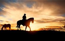 Lone Star Adventure