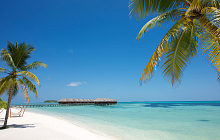 Lux South Ari Atoll Maldives Resort