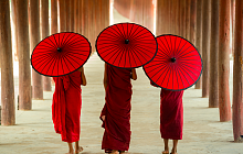 Myanmar Explorer
