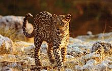 Northern Namibia Self-Drive Holiday