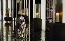 Puli Shanghai