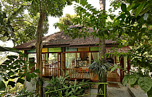 Rainforest Studio