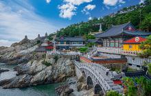 South Korea & Japan