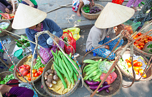 Vietnamese Journey