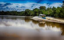 Wildlife, Culture, Beach