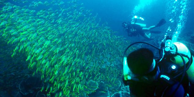 5 star PADI Dive Centre