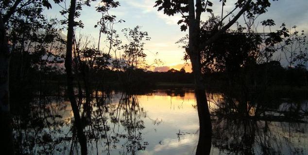 Amazon Sunset