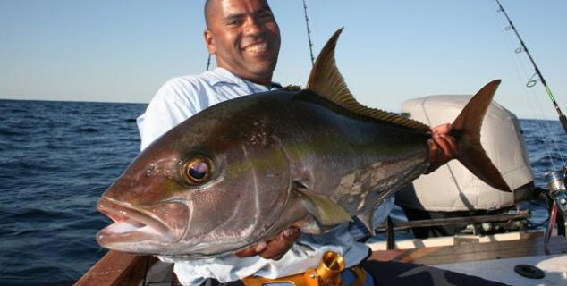 Amberjack