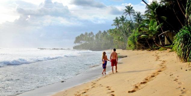 Beach View