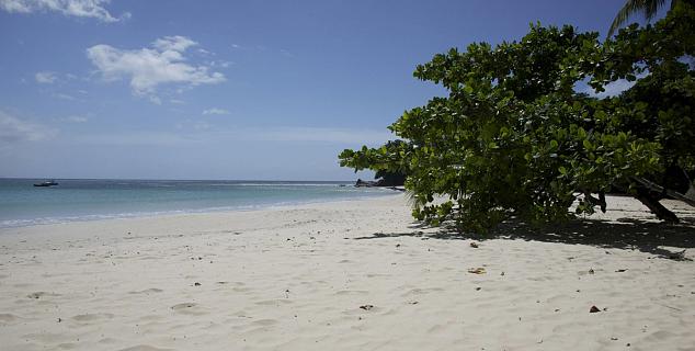 Beach View