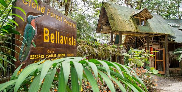 Image result for bellavista cloud forest reserve