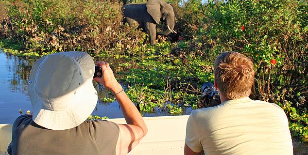 Boat safari in Selous