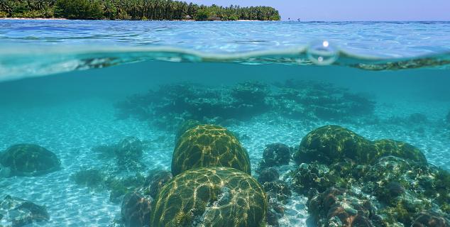 Bocas del Toro