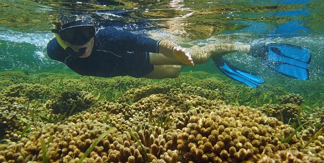 Bocas del Toro