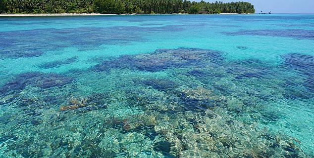 Bocas del Toro