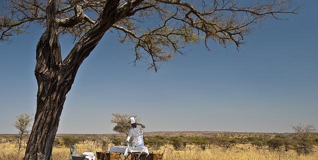 Bush lunch