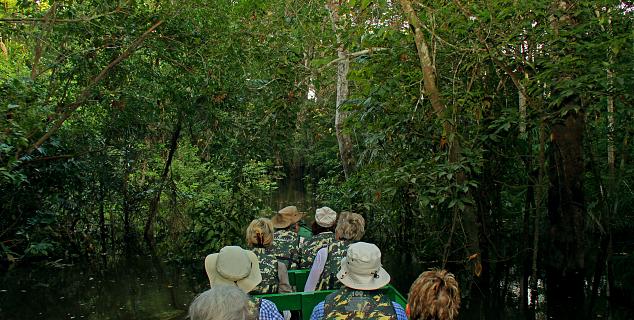 Canoe Tour