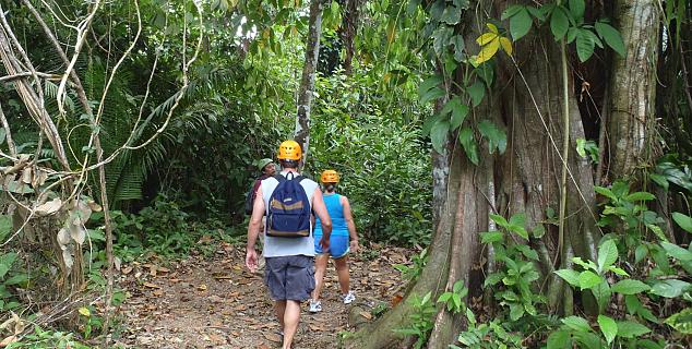 Cave and Jungle Adventure