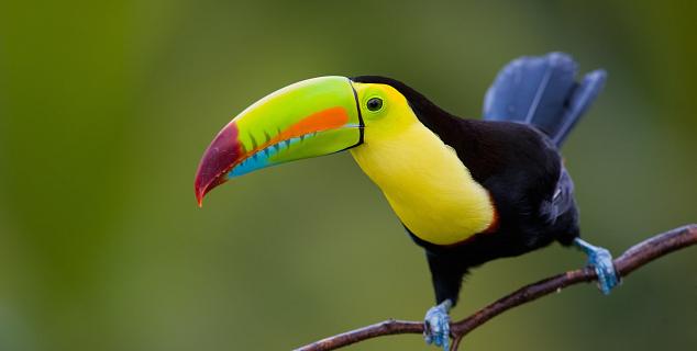Costa Rica