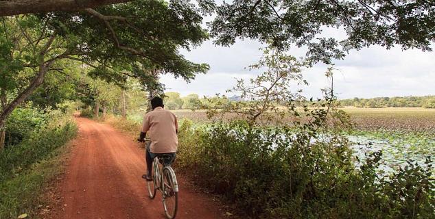 Cycling