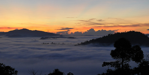 Danum Valley at dusk