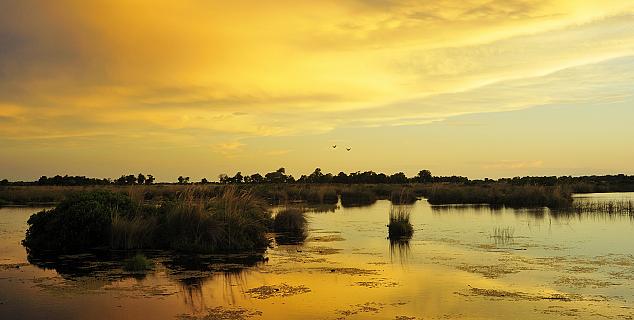Delta scenery