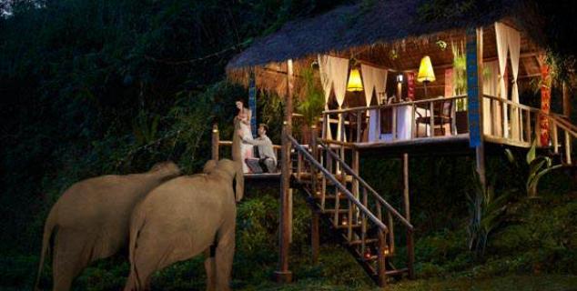 Dining by the Elephant Camp