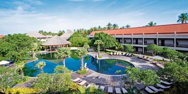 Dolphin Pool