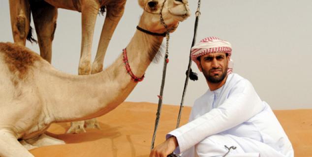 Dubai Stopovers