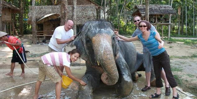 Elephant Experience