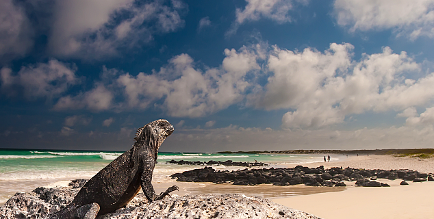 Galapagos Islands