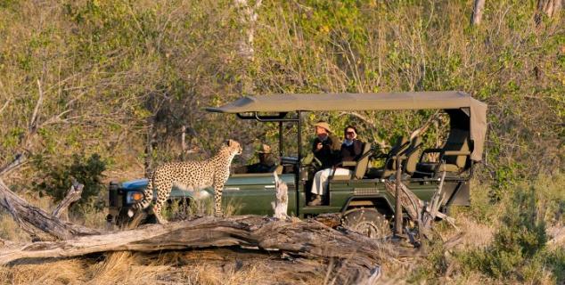 Game Drive