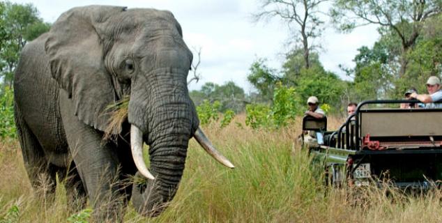 Game drive