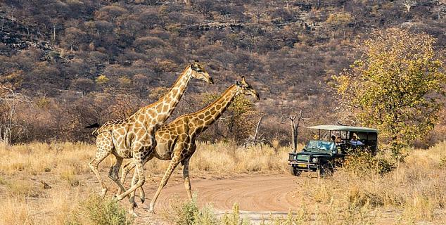 Game drive