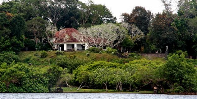 Gardens View