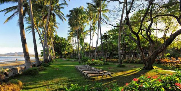 Hammocks and Garden Area