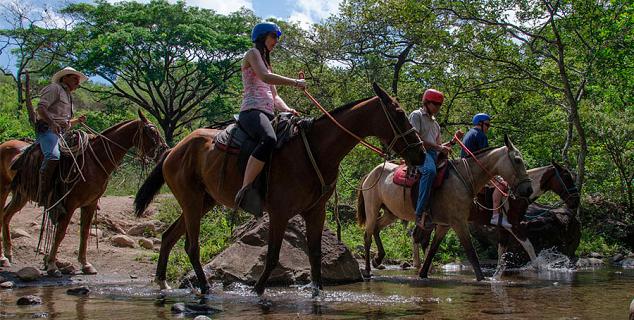 Horse Riding