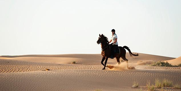 Horse Riding